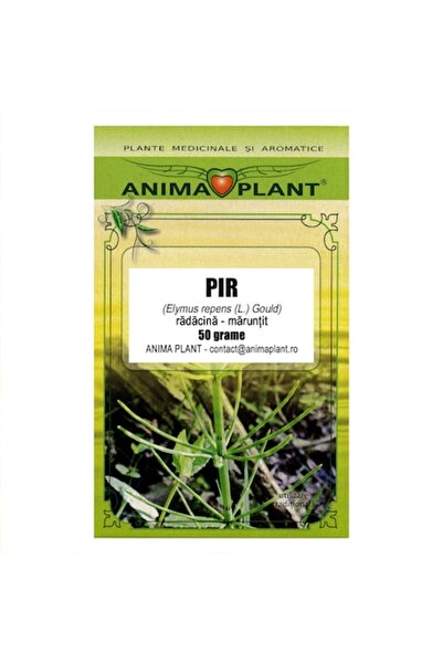 Anima Plant Rădăcină zdrobită de iarbă de pădure (Elymus repens) pentru ceai,...