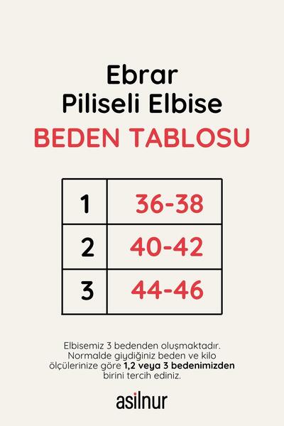 ASİLNUR Ebrar Pleated Dress Mink