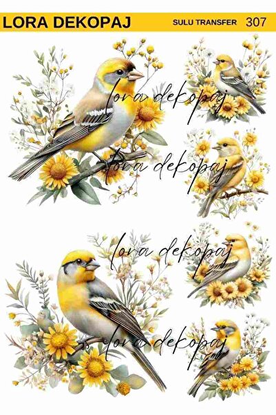 Lora Dekopaj Sulu Transfer Kağıdı - 307 25x35 cm