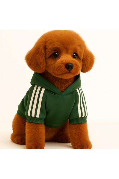 GTB Pet سترة صوفية خضراء بغطاء للرأس للقطط والكلاب، ملابس قطنية ناعمة للكلاب