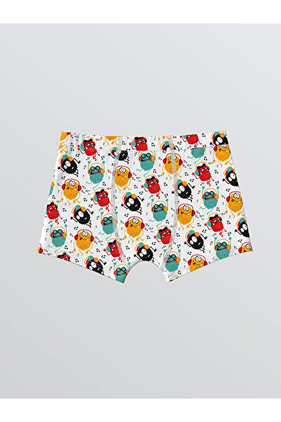 LC Waikiki Αγόρι μπόξερ με στάμπα 3-συσκευασία