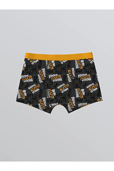 LC Waikiki Printed Boy's Boxer Set of 3