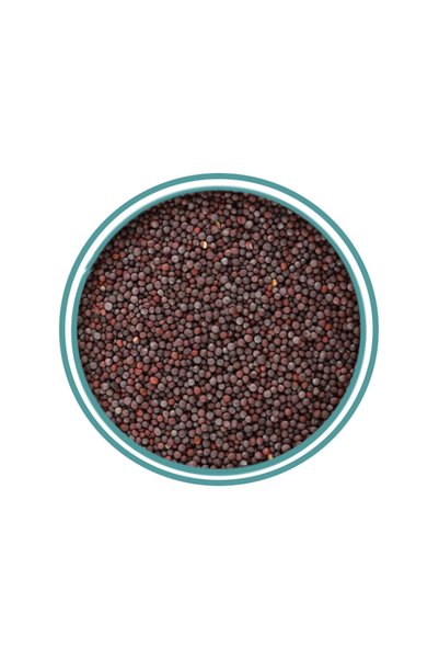 alatar Mustard Seeds 125g