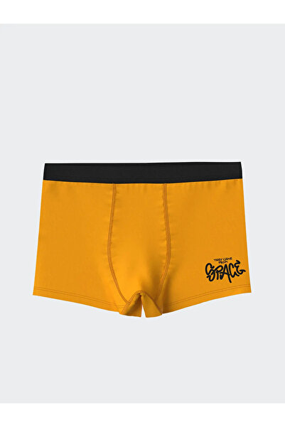 LC Waikiki Printed Boy's Boxer Set of 3