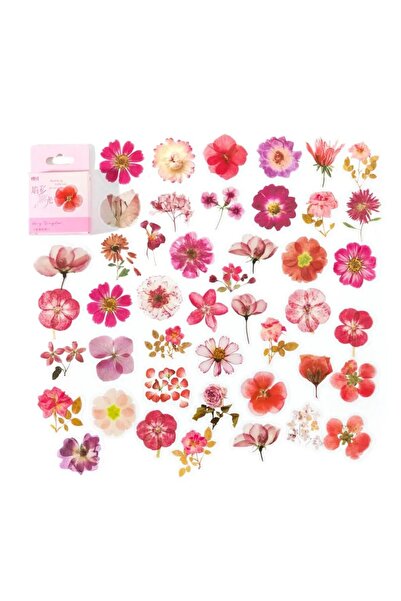 Choice1 E 45Pcs Flower Language Kawaii PET Journaling Sticker Set For Gift Pa...