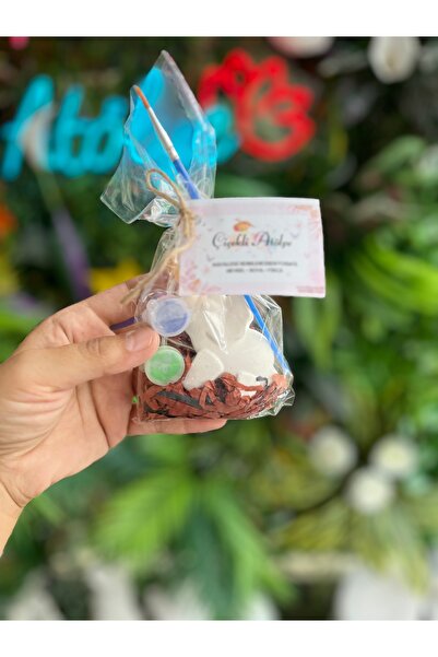 adanaçiçekliatölye Dinazor Boyama Seti Taş Boyama