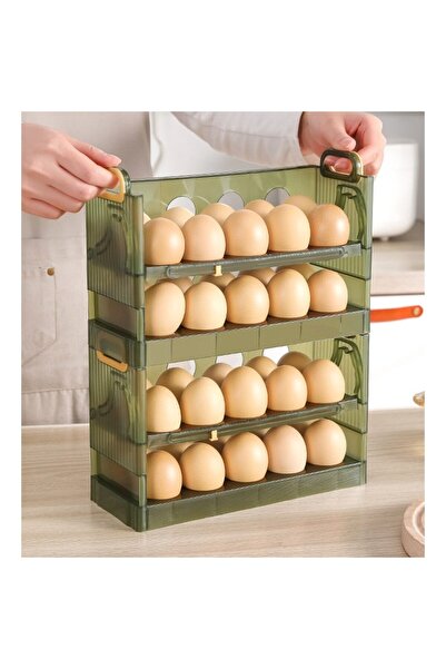 easybox Flippy Egg Organizer for Fridge, Transparent Green, 20-Egg Capacity, 2-Tier (25.5x10x17 cm)