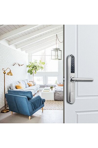 Smartpass Yala MONACO SILVER – TTLock smart lock with , Bluetooth, Wi-Fi, PIN, RFID