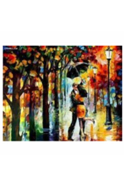 Krista Tablou pe pânză B18-31477 Goblen Diamante rotunde, 50 x 40 cm, Îndrăgo...