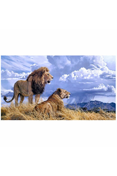 Krista Tablou pe pânză B20-31480 Goblen Rotunde Diamante, 50 x 40 cm, Leu și ...