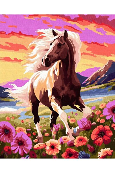 Krista Tablou pe pânză PM715 Pictură pe numere, înrămată, 20x30 cm, culoare C...