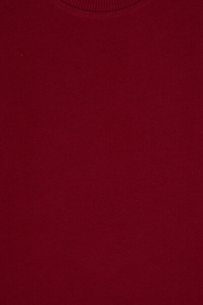 U.S. Polo Assn. Boy's Burgundy Crew Neck Basic Sweatshirt 50313831-Vr014