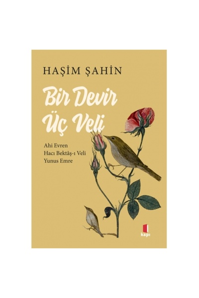 Kapı Yayınları Bir Devir Üç Veli