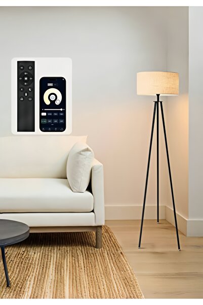 Venpara Modern Triangle Floor Lamp, Remote, Dimmable & Color Temp, Timer, 34x34x160cm