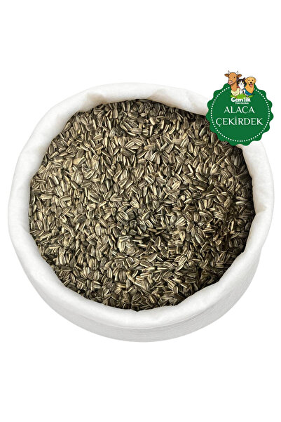 Gemlik Yem 2 kg Alaca Çekirdek – Papağan & Pet Kuşları İçin Yemlik Kalite – Doğal Katkısız