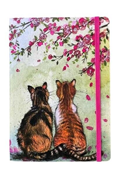 Alex Clark Diary - Blossom Cats
