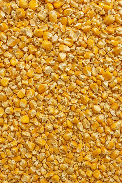 DOĞADAN PREMİUM YEMLİK MISIR