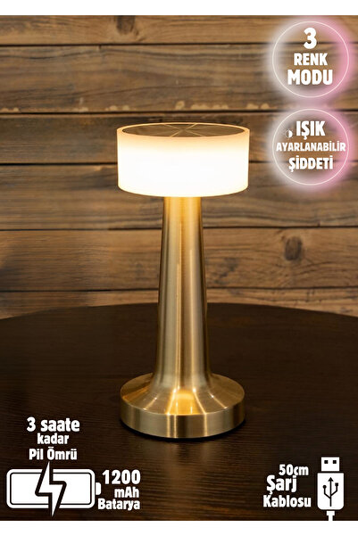 Folveit 3 Işık Renkli Şarjlı Dim Edilebilir Masa Lambası Gold Denver Gece Lam...