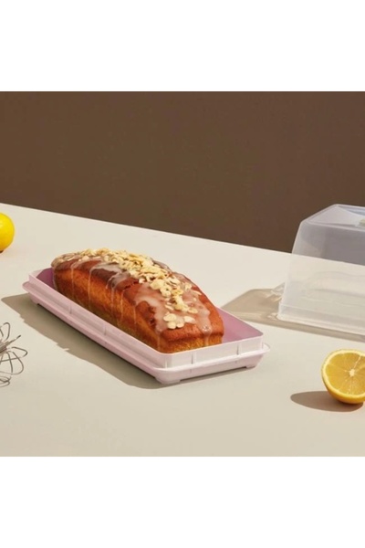 OEM Cake/Loaf carrier with lid, 35.5 x 15 x 14 cm, freezer-safe