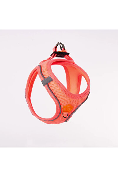 Pawstar Neon Pembe Airmesh Kedi Köpek Göğüs Tasması