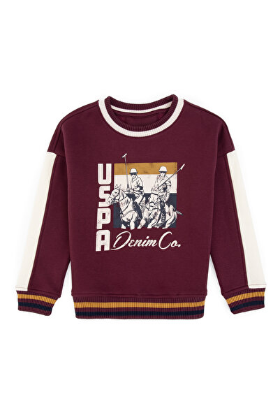 U.S. Polo Assn. Boy's Burgundy Crew Neck Sweatshirt 50308572-Vr177