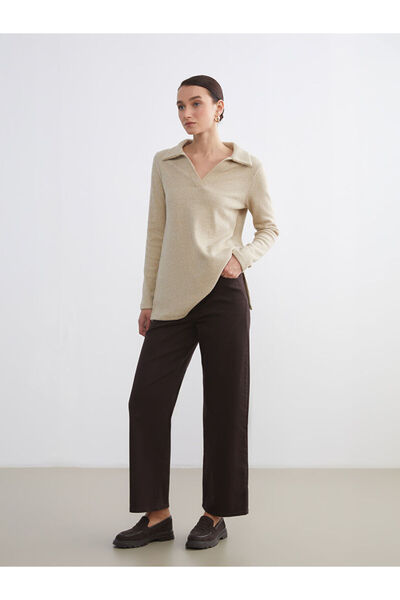 LC Waikiki Lcw Comfort Brown Standard Fit Wide Leg Women's Trousers