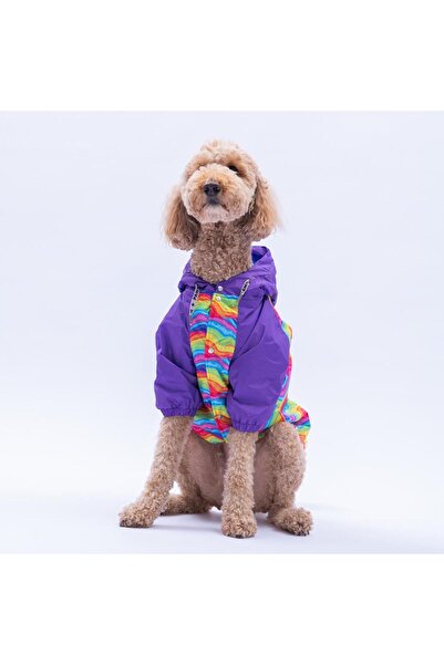 Pawstar Rio Rainbow Purple Rainbow Pattern Large Breed Dog Coat Dog Raincoat Dog Outfit Dog Dress