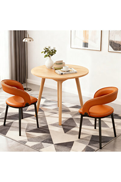 Zztcmp Dining Chairs Set 2 Pcs,Kitchen Chairs,Modern Accent Chair,Living room chairs,Armchair