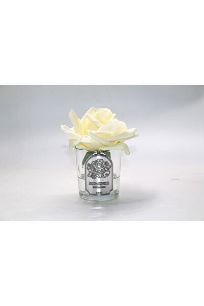 ROSALINDA Silver Tek Gül Krem Oda Kokusu – Şık Tasarım, Kalıcı Koku
