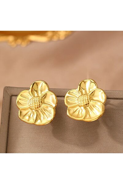 KEVSA Jewelry Cercei din oțel inoxidabil - CM1679