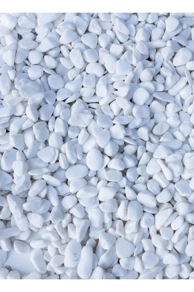SADERA Beyaz Dolomit Taş 2-4 Cm Dere Çakıl Taşı | Bahçe, Saksı, Teraryum ve Akvaryum Süs Taşı 1 Kg