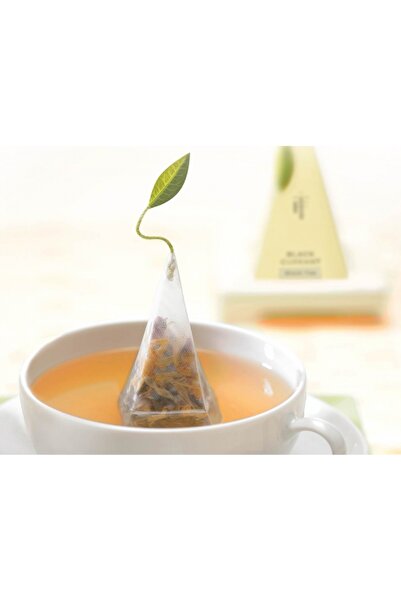 Tea Forte Tea Porcelain Cup Cafe Cup -