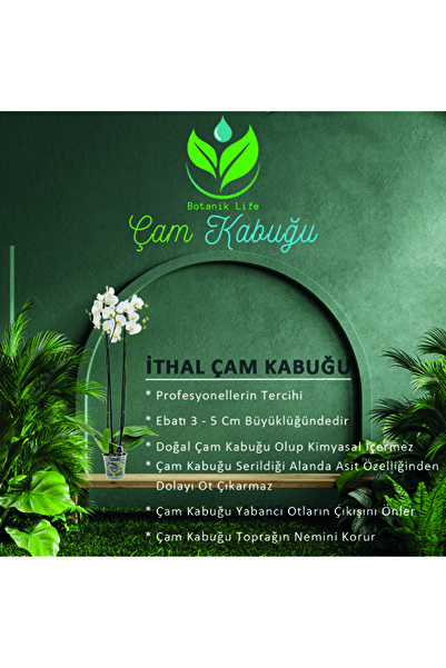 botaniklife İTHAL ÇAM KABUĞU 3 LİTRE ELENMİS TEMİZLENMİS İRİ TANE
