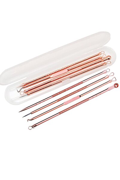 KESNUP Σετ καθαρισμού προσώπου από ανοξείδωτο ατσάλι 4 τεμαχίων Rose