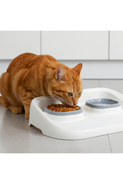 Kanonik Education وعاء طعام وماء 2 في 1 من ميكوبت باللون الرمادي