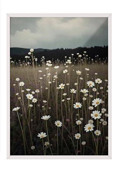 Zestia Tablou înrămat alb, Câmp de margarete albe - Peisaj natural, Poster de...
