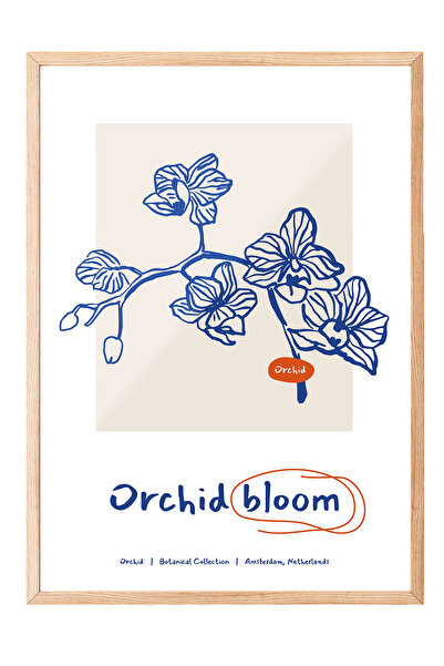 Zestia Картина с дървена рамка, Синя орхидея – Модерна ботаническа илюстрация...