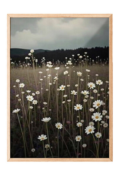 Zestia Tablou cu ramă din lemn, câmp de margarete albe - peisaj natural, post...