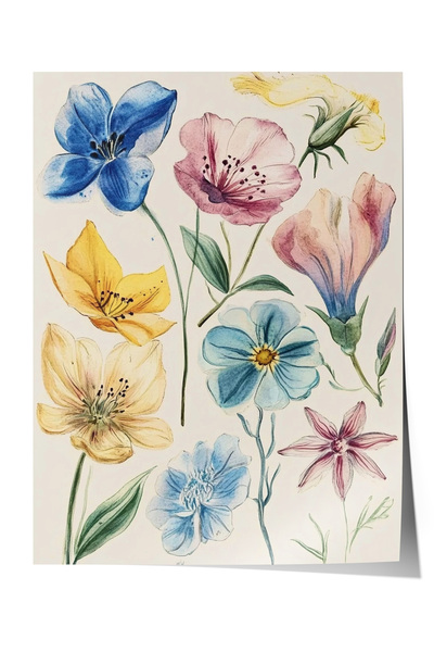 Zestia Αφίσα χωρίς πλαίσιο, Πολύχρωμα ανοιξιάτικα λουλούδια - Vintage Βοτανικ...