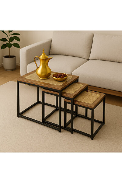 Un طقم طاولات جانبية مربعة بتصميم عصري ولمسة طبيعية”