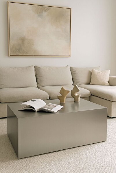 alkametal PASLANMAZ ÇELİK ORTA SEHPA 100cm x60 cm