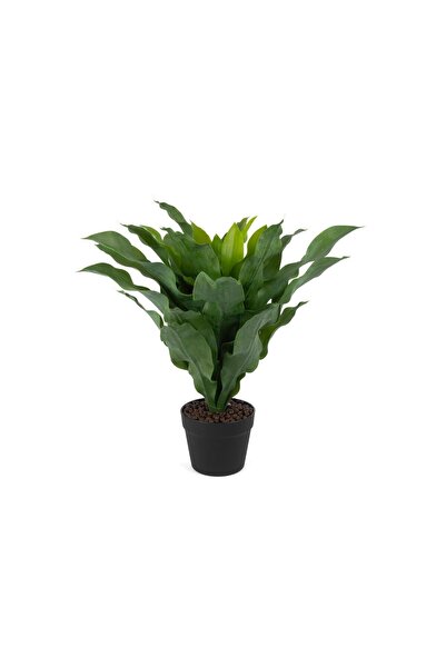 Mikasa Moor Brazilwood Yapay Çiçek 60cm