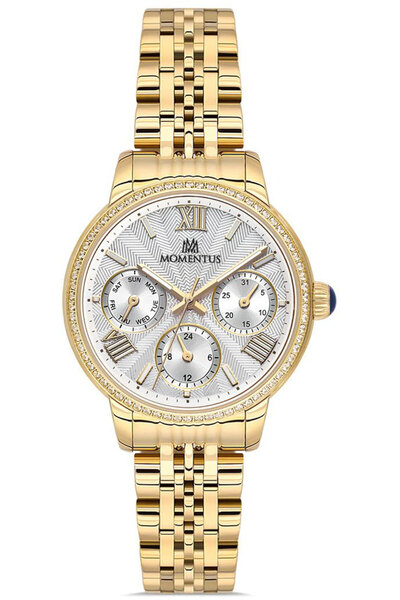 Momentus Ss380G-02Sg