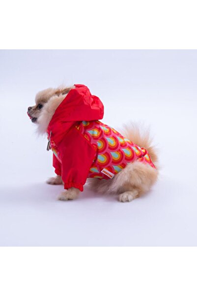 Pawstar Lisbon Sunset Red Rainbow Pattern Dog Coat Dog Raincoat Dog Outfit Do...