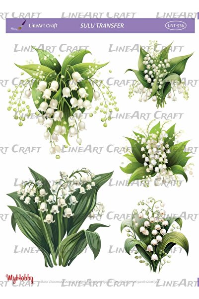 LİNEART LNT536 Çiçek, Krem Tonları Açık Zemin Sulu Transfer 25*35 cm