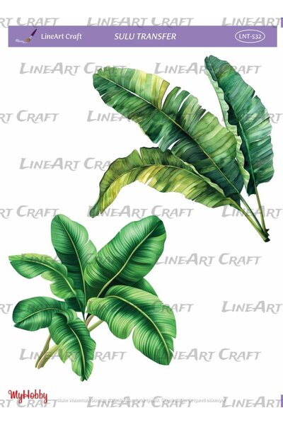 LİNEART ورق LNT532، ألوان خضراء، نقل مائي للخلفيات المفتوحة 25*35 سم
