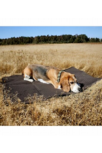 PAMUK HANIM Multi-Purpose, Liquid-Proof, Can Be Used as a Floor Covering, Large Size Mother and Baby Travel Designer Bag/Anthracite