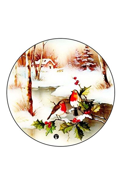 Generic RKN Birds Printed Fridge Magnet Multicolour