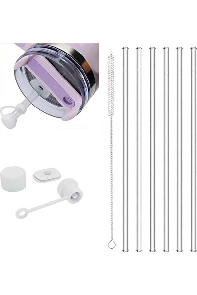 Generic Straws for Cup,Spill Proof Straw Stopper,6 Reusable Straws Leak Proof Straw Cap Accessories for Cup
