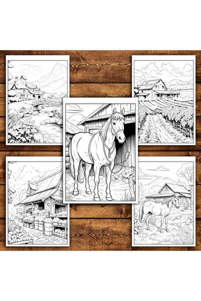 Legendary Gifts Painting book, 50 illustrations Country Life